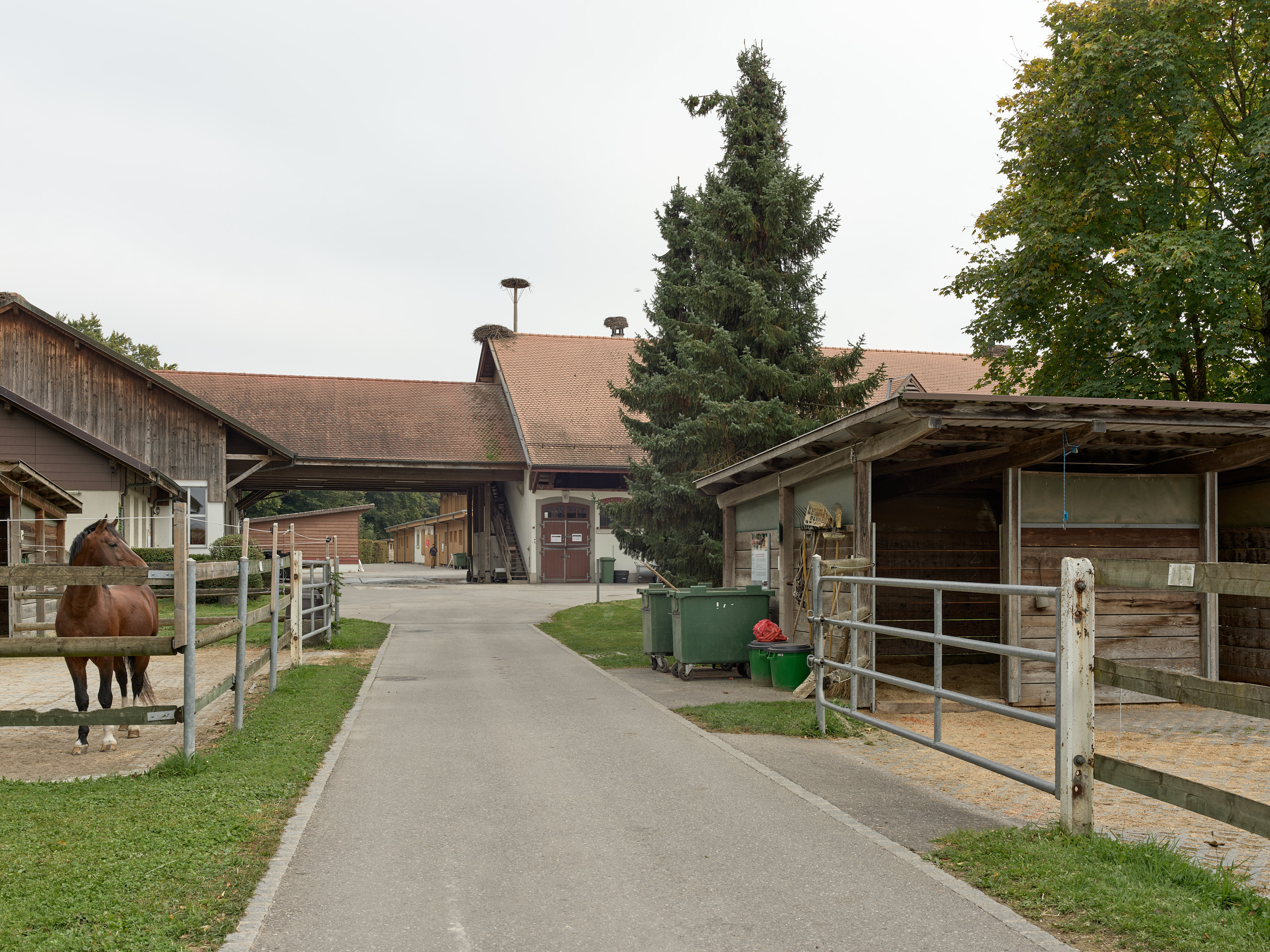 Haras National